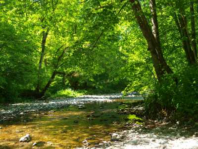 Wutach wutach